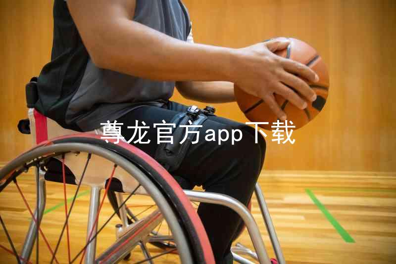 尊龙官方app下载